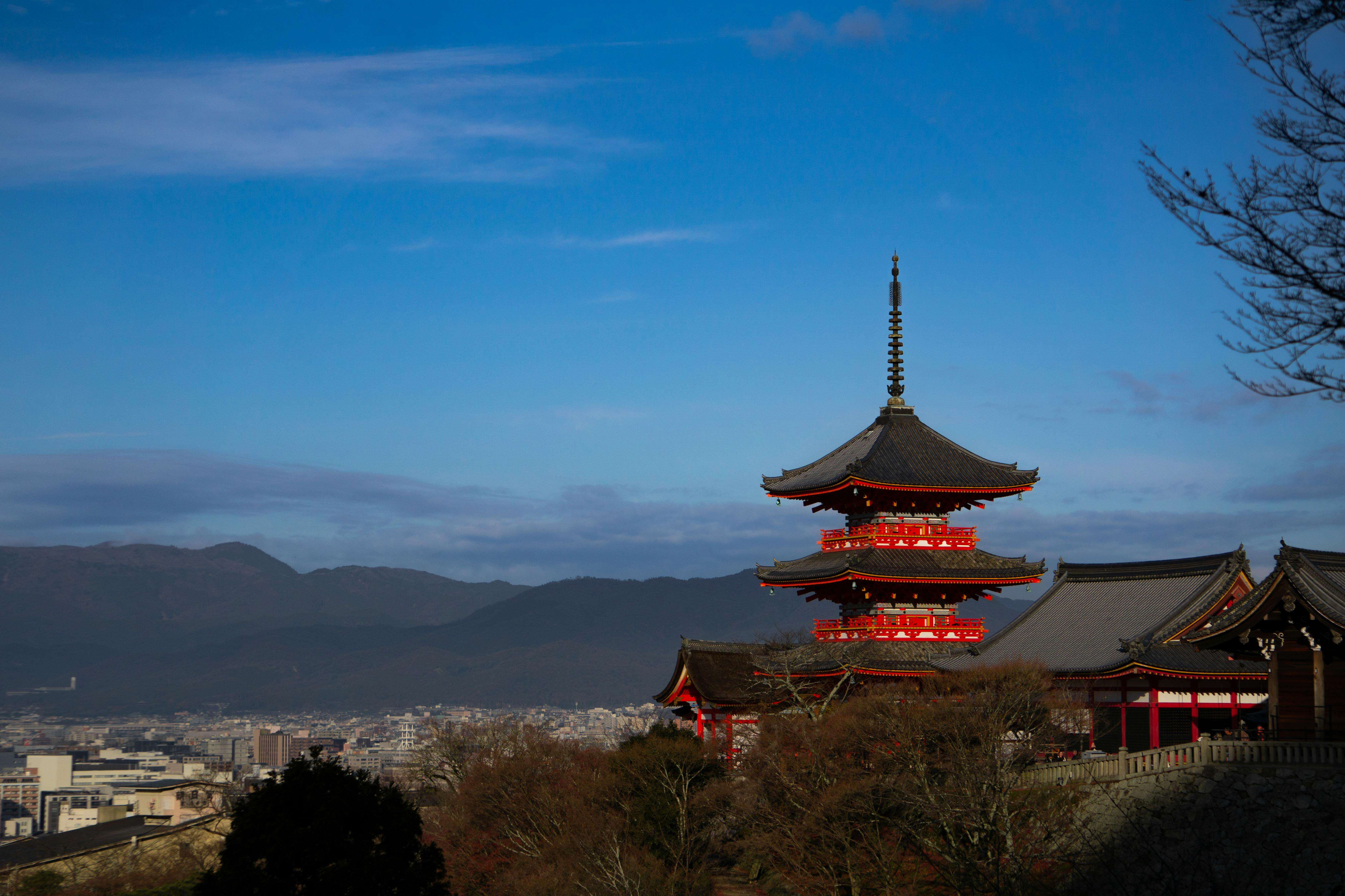 pexels-vqminh24-34437412